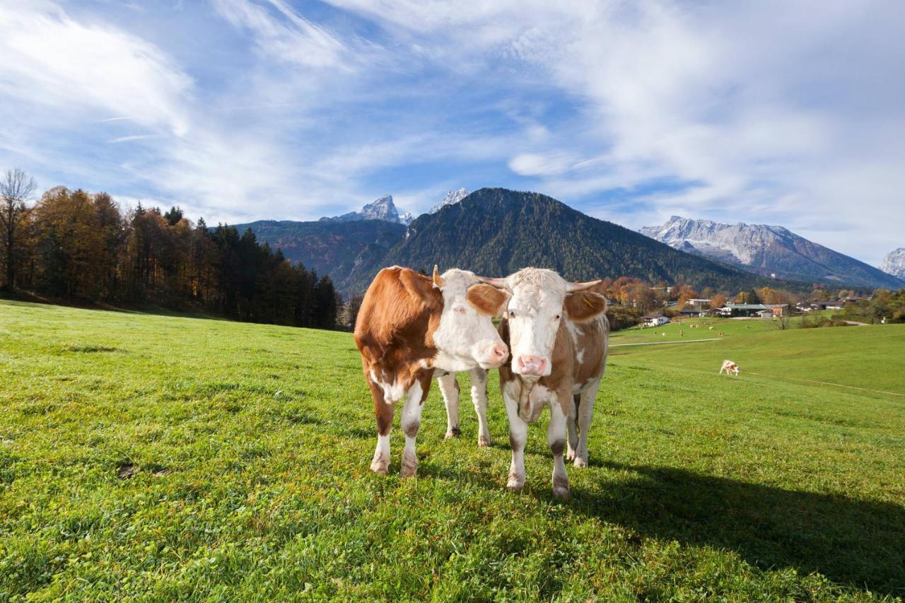 Gaestehaus Untersulzberglehen Schönau am Königssee Exteriör bild